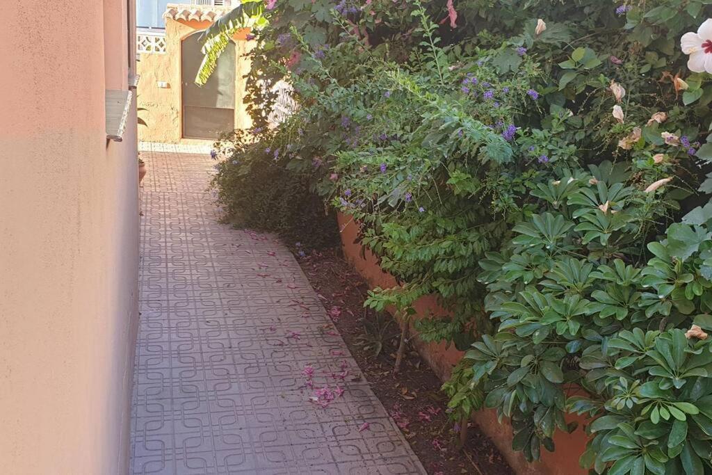 Casa Hurtado De Mendoza Pequena Almuñécar Exterior foto